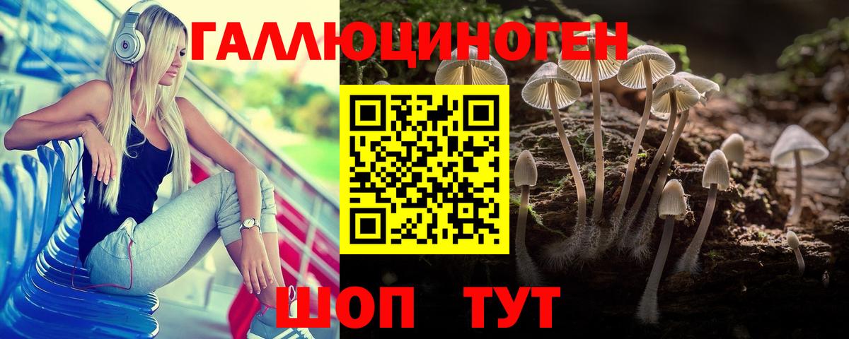Апатиты  где купить наркоту  Вход с VPN  Псилоцибиновые грибы прущие грибы  Галлюциногенные грибы мицелий 